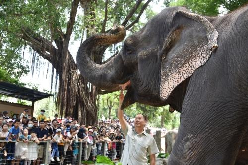 五一假期首日，深圳野生動物園動物科普講解吸引游客